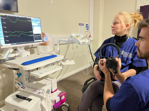 Dr Abbe Crawford, Lecturer in Neurology and Neurosurgery, using the BAER machine