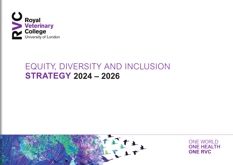 front cover of the Equity, Diversity & Inclusion Strategy 2024-2026