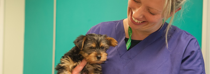 Practice Services - Beaumont Sainsbury Animal Hospital - Royal ...