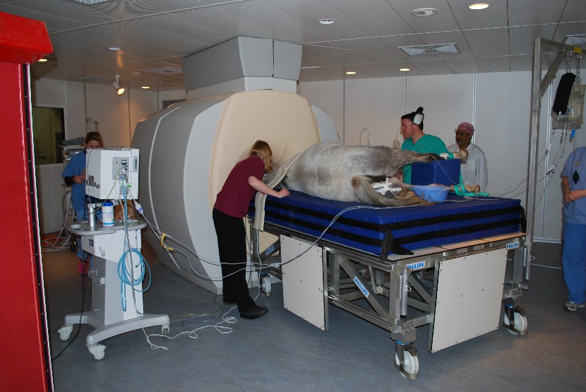 Magnetic Resonance Imaging (MRI) - Diagnostic Imaging - Facilities ...