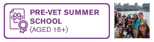 Pre-Vet Summer School