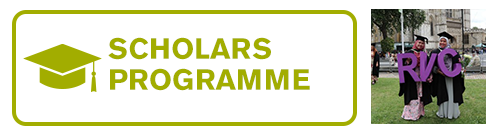 Scholars Programme