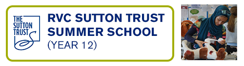Sutton Trust Summer School