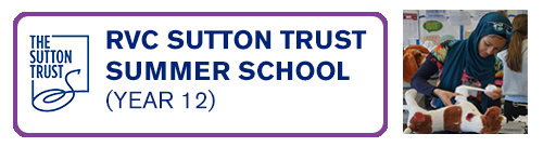 Sutton Trust Summer School