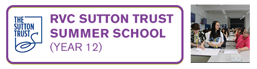 Sutton Trust Summer School