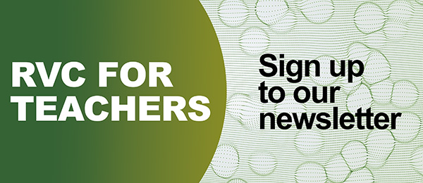 RVC For Teachers: Sign up and we’ll make sure you receive relevant information about the RVC.