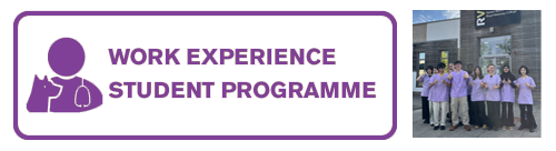 Work Experience Student Programme