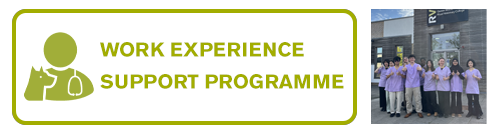 Work Experience Student Programme