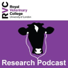 RVC Podcasts logo - cow wearing iPod earphones - click to go to Podcasts page