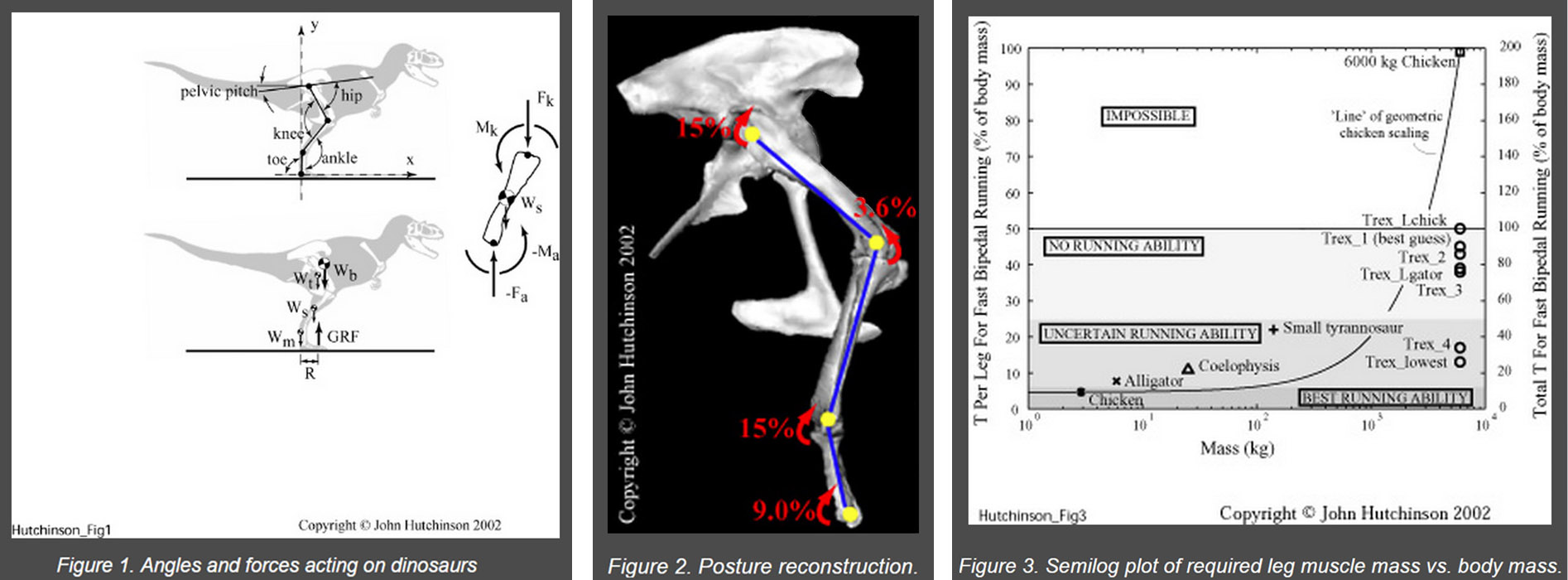 Tyrannosaurus Was Not A Fast Runner Projects Structure And Motion Research Centres And Facilities Research Royal Veterinary College Rvc