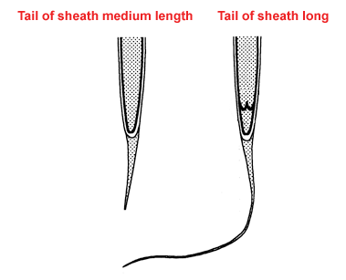 Tail sheath length