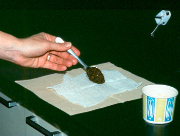 cheesecloth with faecal material being placed in centre with a spoon