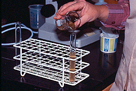 pouring filtrate into test tube