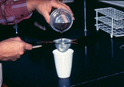 pouring through tea strainer