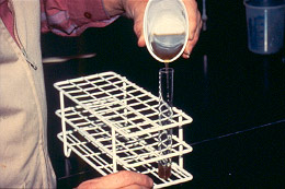 pouring suspension into test tube