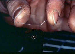 placing a coverslip on top of the test tube