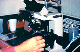 microscope